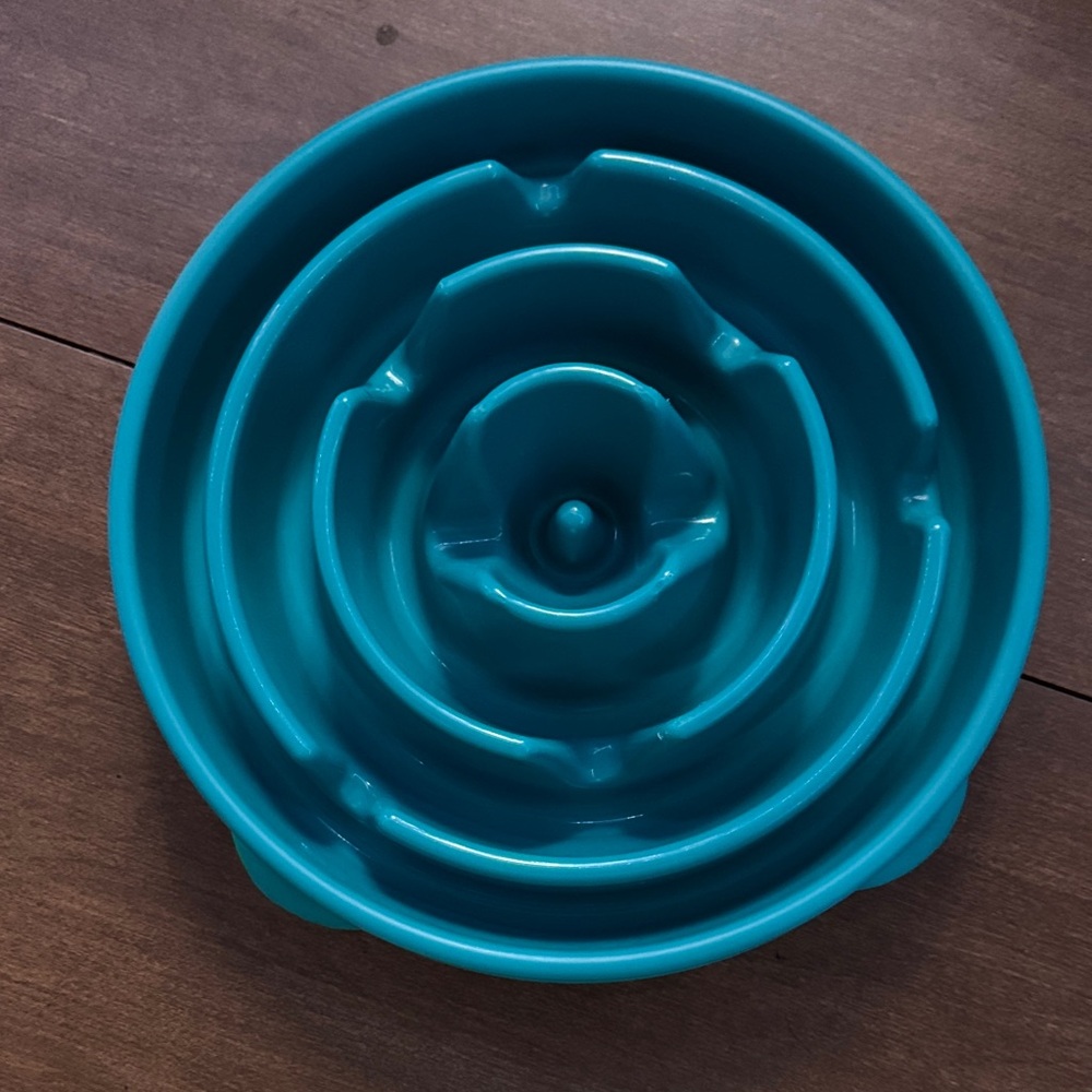 Outward Hound Aqua Slow Feeder Bowl